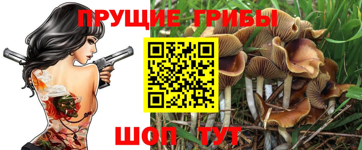 Псилоцибиновые грибы Psilocybe  Вход с VPN  Мичуринск 